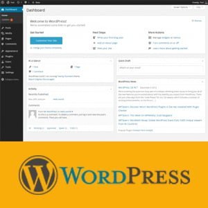 Web Programming Mastering WordPress