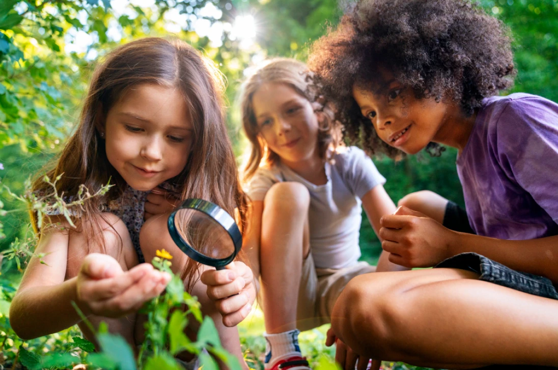 image why coding koding akademi