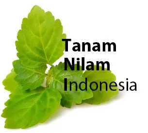 tanam
